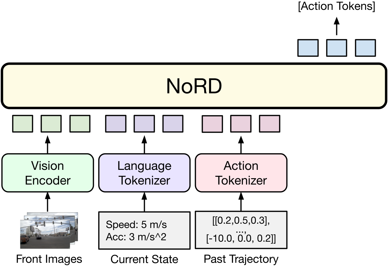NoRD 模型架构：直接预测动作 token，无中间推理